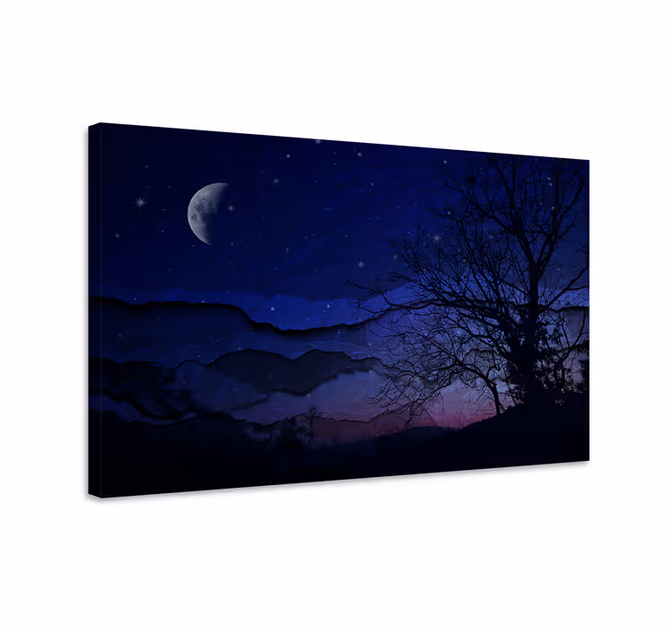 Obraz krajobrazy spokój nocnego nieba - TenStickers