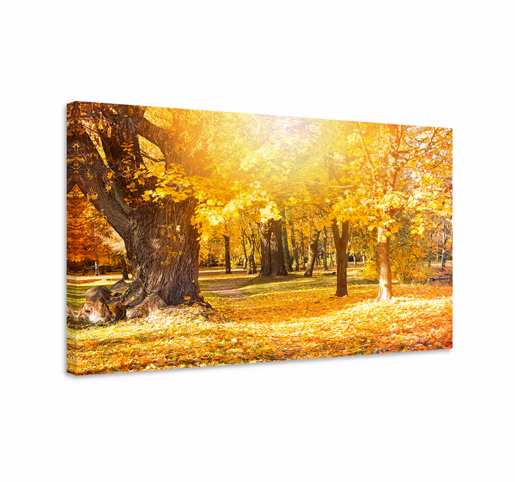 Obraz drzewa leśna Ścieżka jesienna - TenStickers