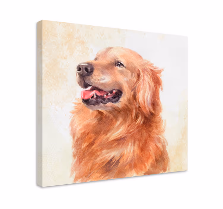 Obraz psy ilustracja golden retriever - TenStickers