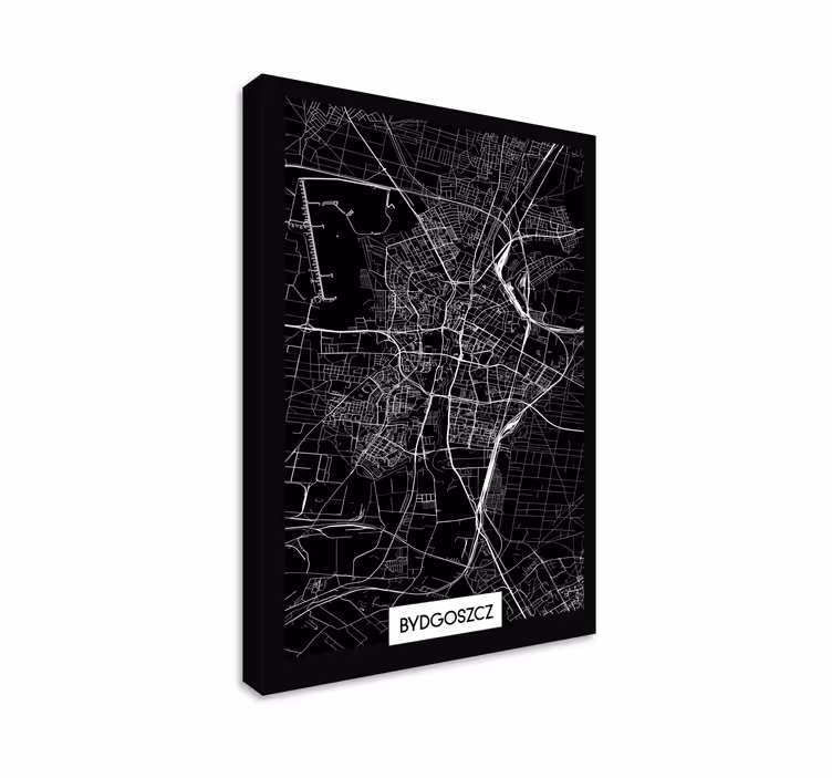 Obraz z miastem Mapa topograficzna bydgoszczy - TenStickers