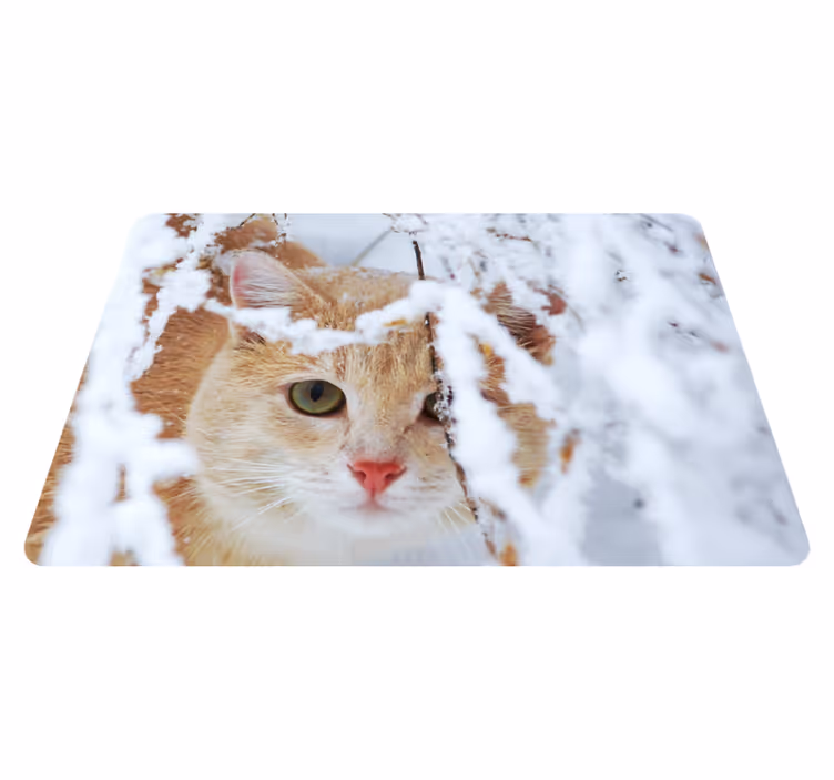 Dywan winylowy zwierzęta kot ze stalaktytem - TenStickers
