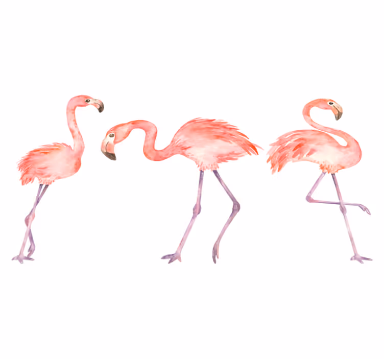 Dywan winylowy zwierzęta trio eleganckich flamingów - TenStickers
