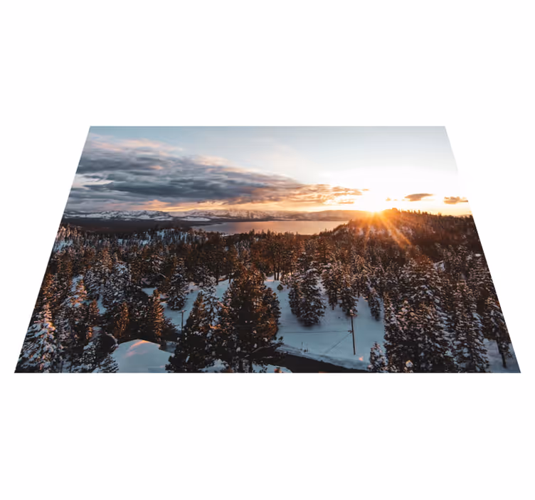 Dywan winylowy natura krajobraz bujnego lasu - TenStickers