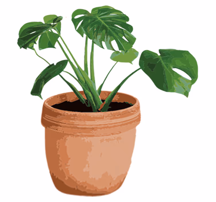 Dywan winylowy w kwiaty i rośliny doniczka monstera - TenStickers