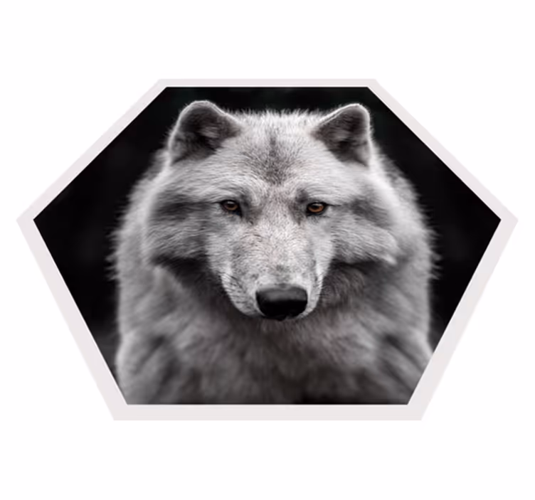 Dywan winylowy zwierzęta portret wilka - TenStickers