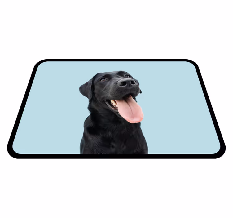 Dywan winylowy zwierzęta czarny labrador - TenStickers