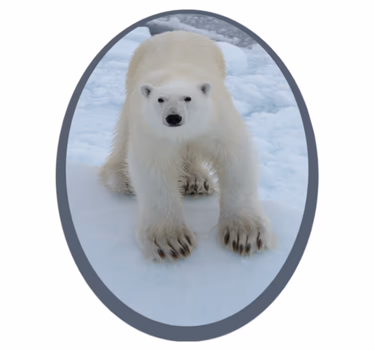 Dywan winylowy zwierzęta obraz niedźwiedzia polarnego - TenStickers