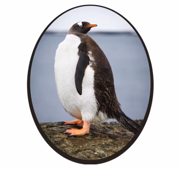 Dywan winylowy zwierzęta pozycja pingwina - TenStickers