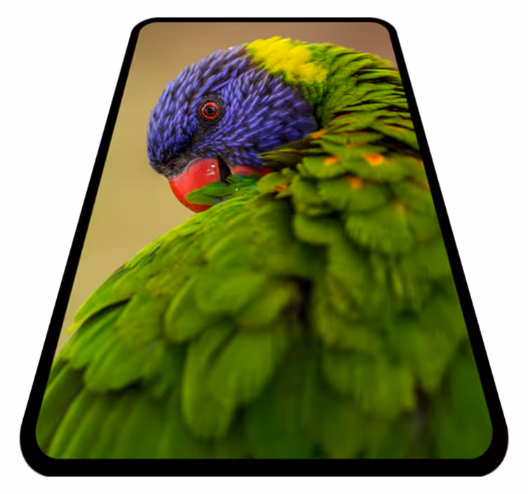 Dywan winylowy zwierzęta kolorowy portret papugi - TenStickers
