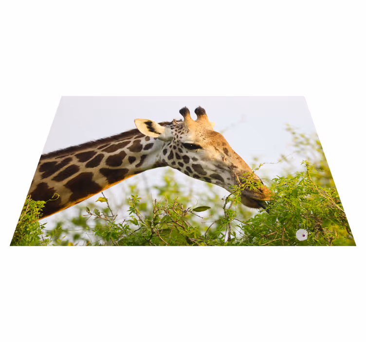 Dywan winylowy z motywem żyrafę - TenStickers