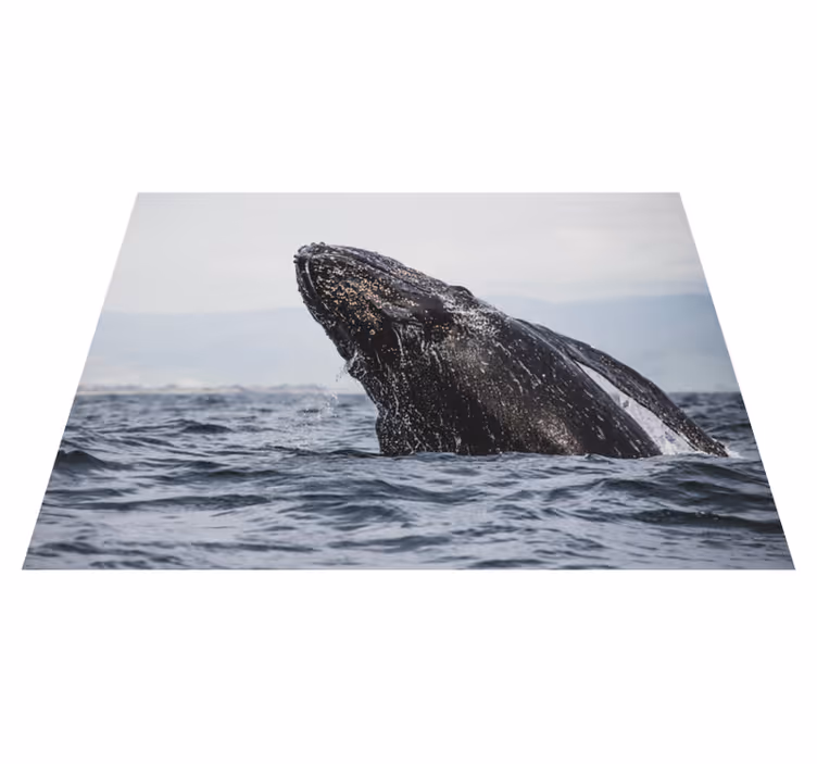Dywan winylowy natura majestatyczny skok wieloryba - TenStickers