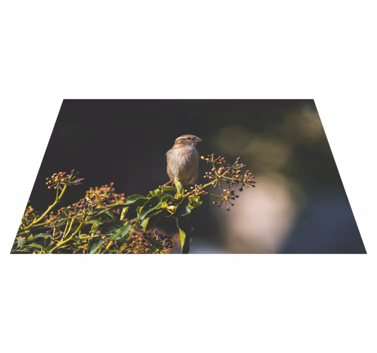 Dywan winylowy natura uroczy ptak siedzący - TenStickers