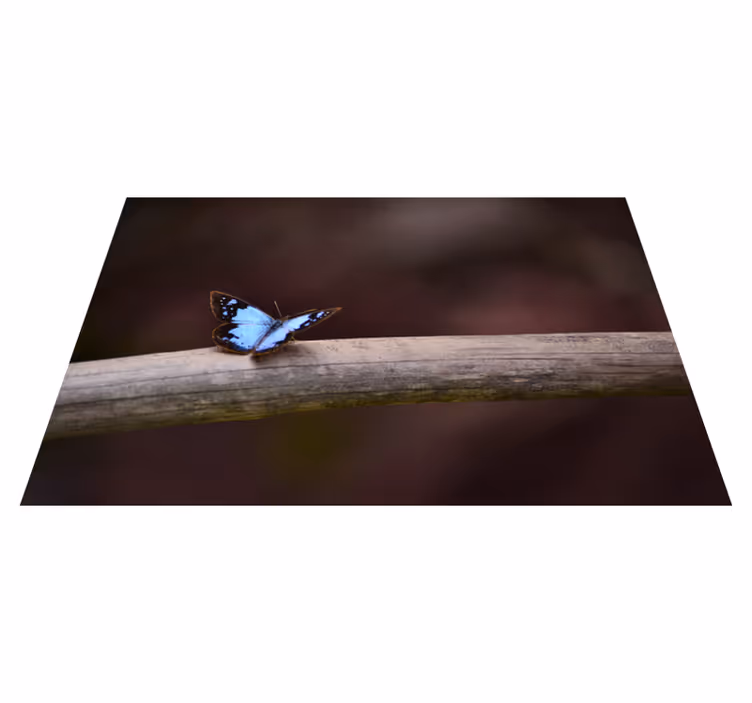 Dywan winylowy natura motyl na gałęzi - TenStickers