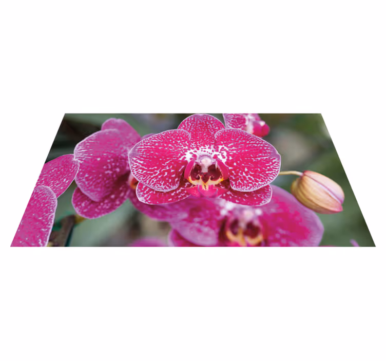 Dywan winylowy w kwiaty i rośliny żywe orchidee w kwiatach - TenStickers