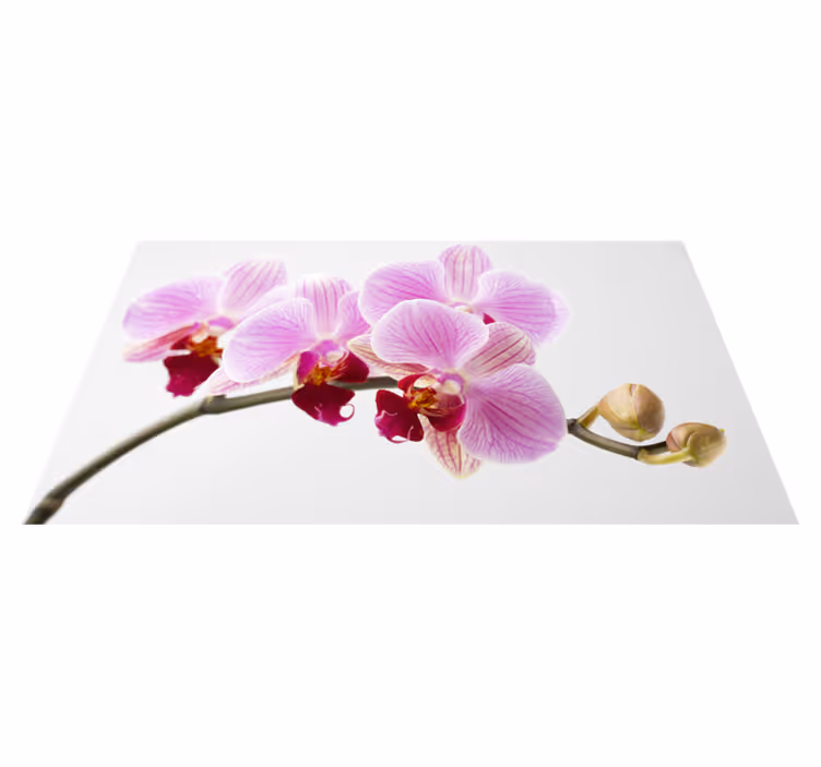 Dywan winylowy w kwiaty i rośliny różowy projekt orchidei - TenStickers