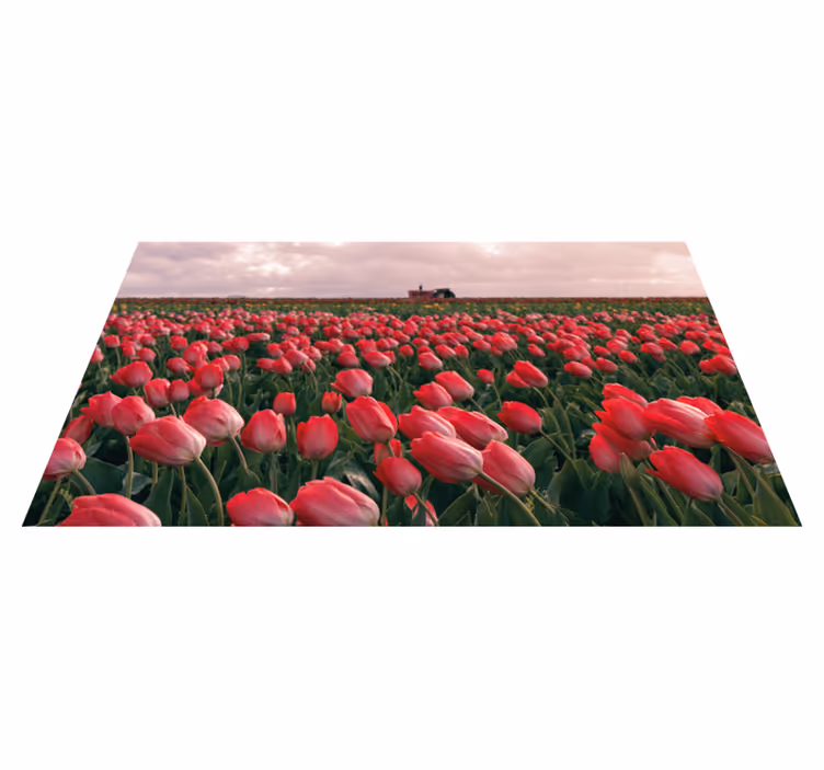 Dywan winylowy natura żywe pole tulipanów - TenStickers