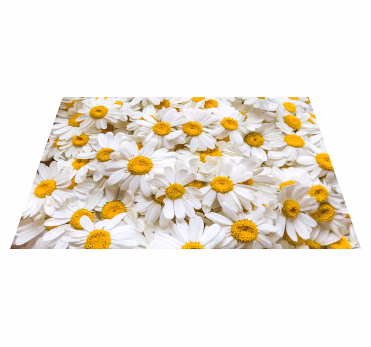 Daisy flowers image dywan kwiatowy - TenStickers