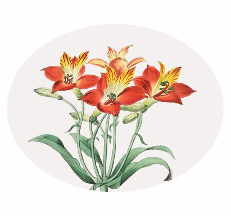 Dywan winylowy w kwiaty i rośliny czerwone kwiaty - TenStickers