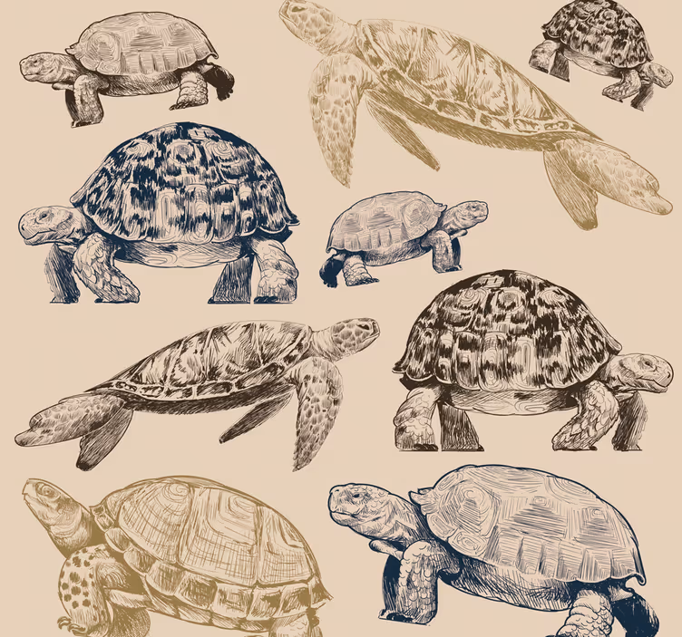 Tapeta zwierzęta kolekcja żółwi - TenStickers