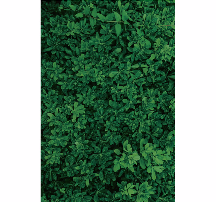 Tapeta natura w głębokiej zieleni - TenStickers