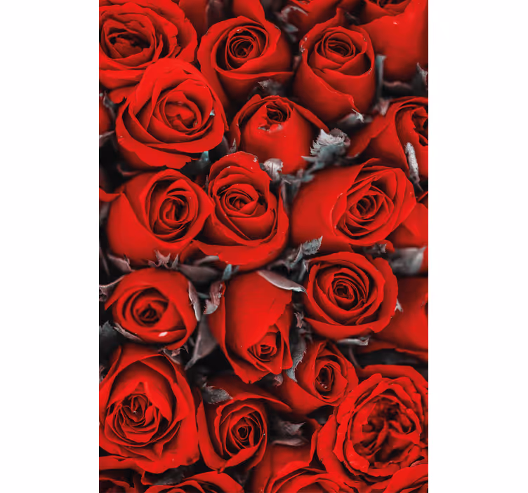Tapeta kwiaty czerwone róże romantyczne - TenStickers