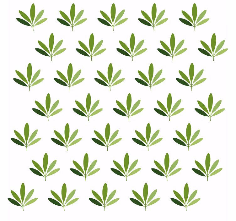 Tapeta liście słodkiej palmy - TenStickers
