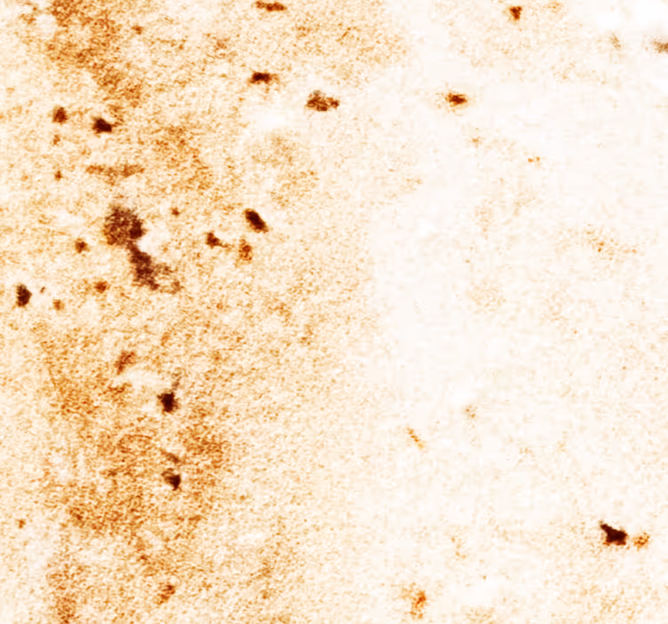 Tapeta Pastelowy marmur - TenStickers