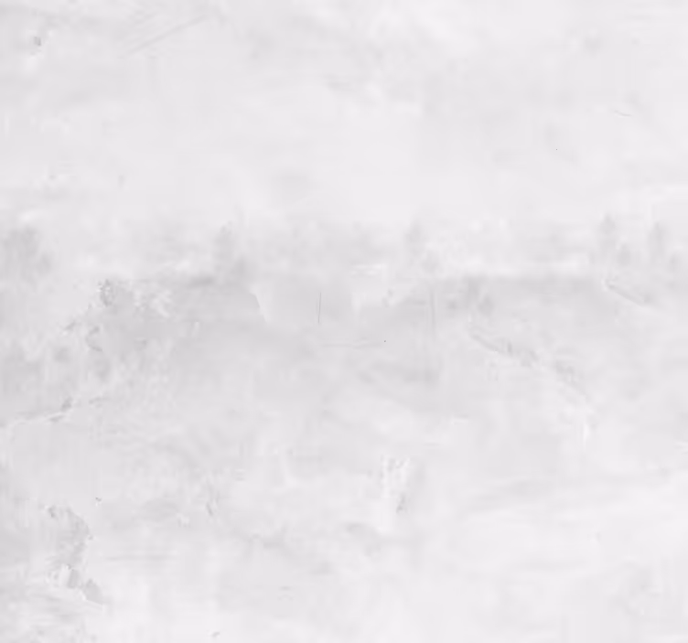 Tapeta beton nowoczesna estetyka - TenStickers