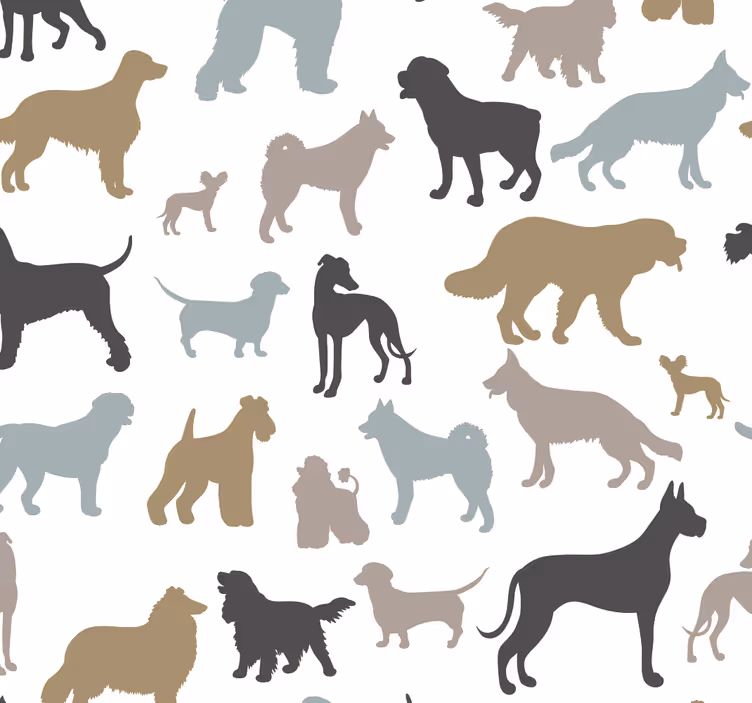 Tapeta koty sylwetki kotów - TenStickers