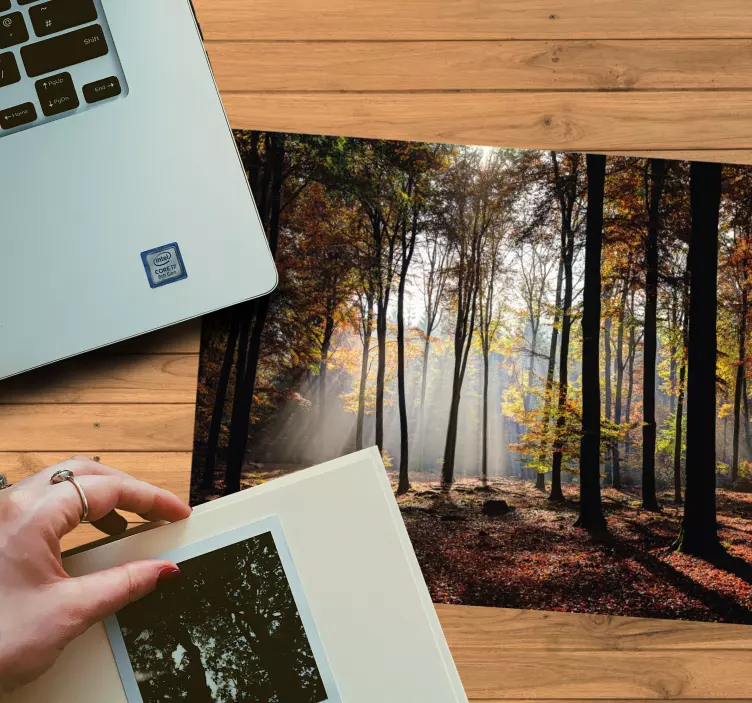 Oryginalna podkładka pod mysz spokojna scena lasu - TenStickers