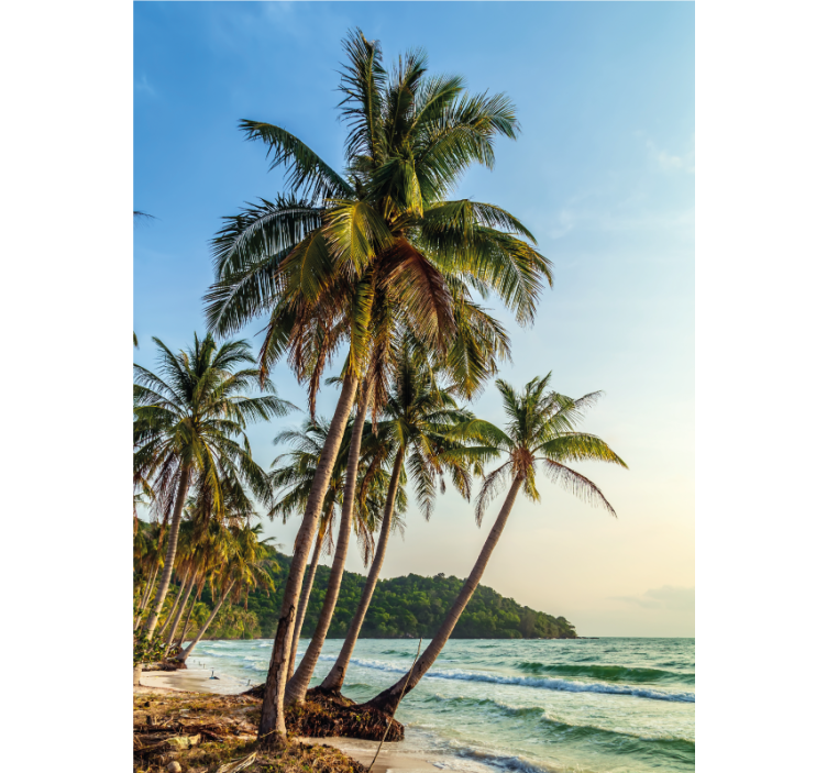 Roleta do łazienki palmy na plaży - TenStickers