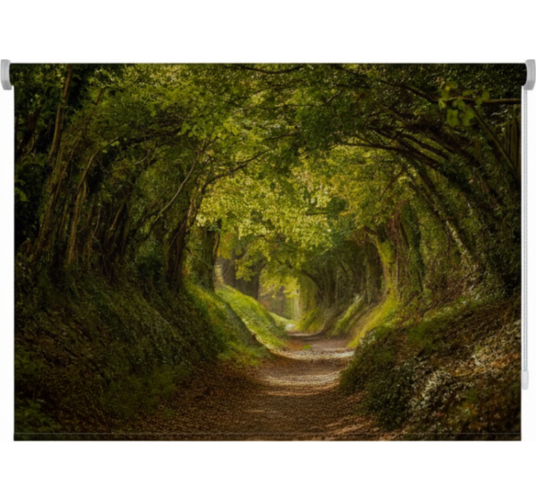 Roleta z drzewami na angielskiej zielonej ścieżce - TenStickers
