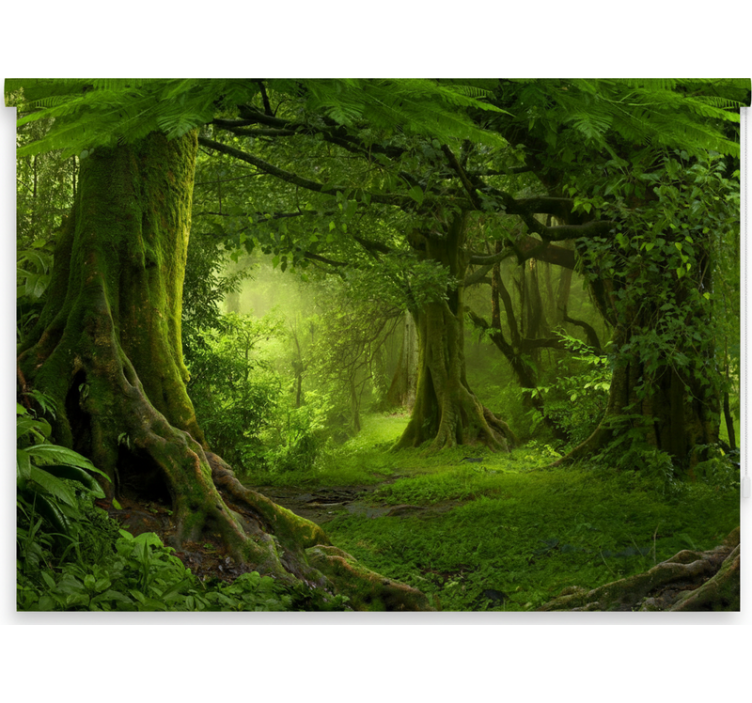 Roleta z drzewami urokliwy leśny zakątek - TenStickers