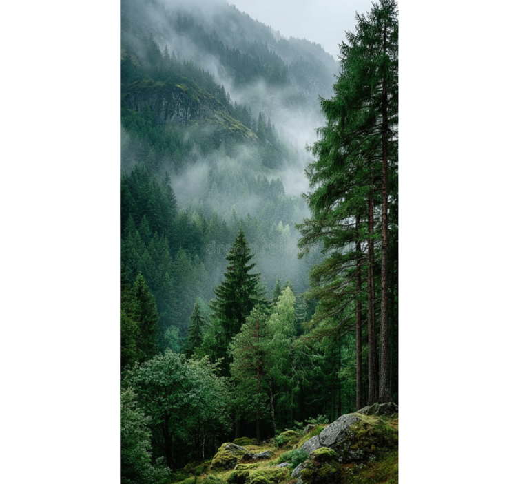 Roleta z drzewami - kapryśny wybór - TenStickers