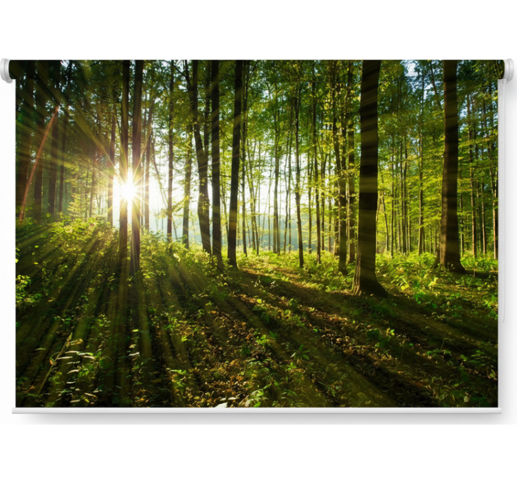 Roleta z drzewami w złotym blasku słońca - TenStickers