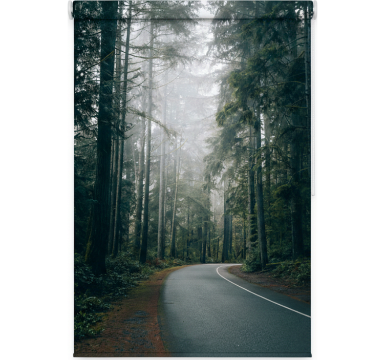 Roleta z drzewami na mglistym sosnowym szlaku - TenStickers