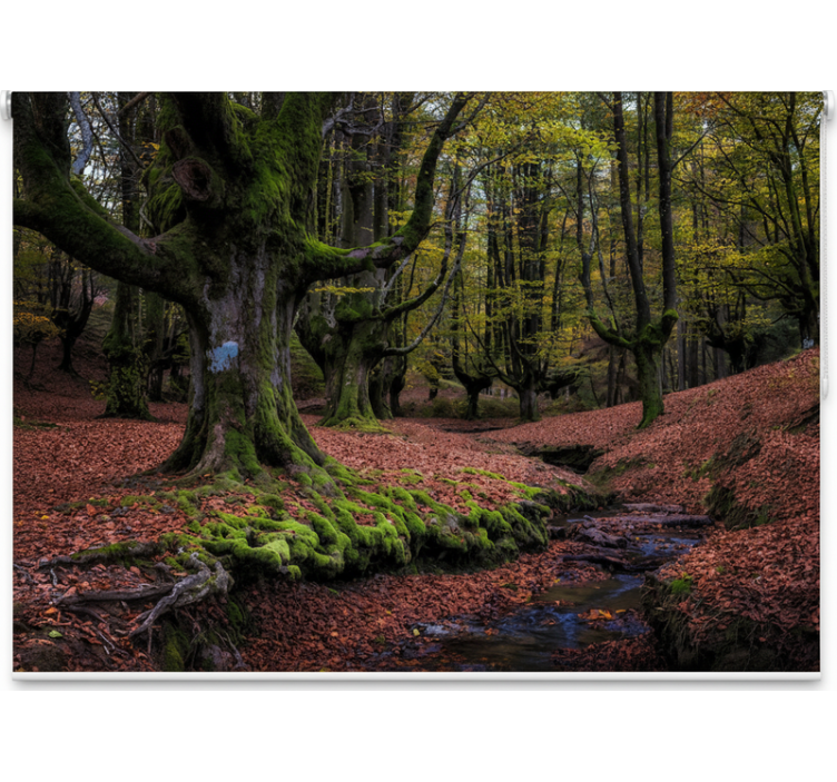 Roleta z drzewami w zaczarowanym jesiennym lesie - TenStickers