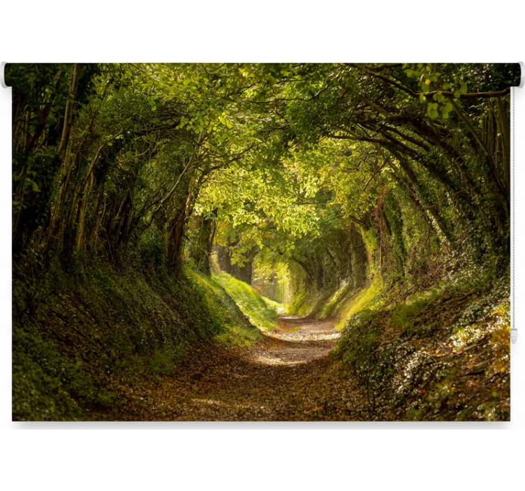 Roleta z drzewami - mural z immersyjnym lasem - TenStickers