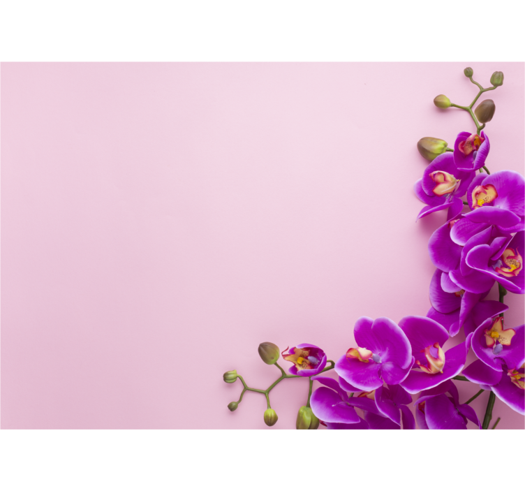 Roleta do kuchni różowe tło z orchideą - TenStickers