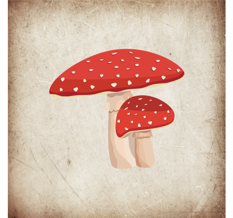 Roleta do kuchni z ilustracją muchomora amanita - TenStickers