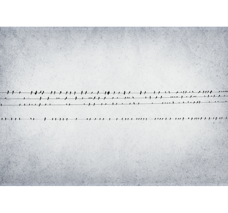 Biała roleta koncert ptaków na liniach - TenStickers