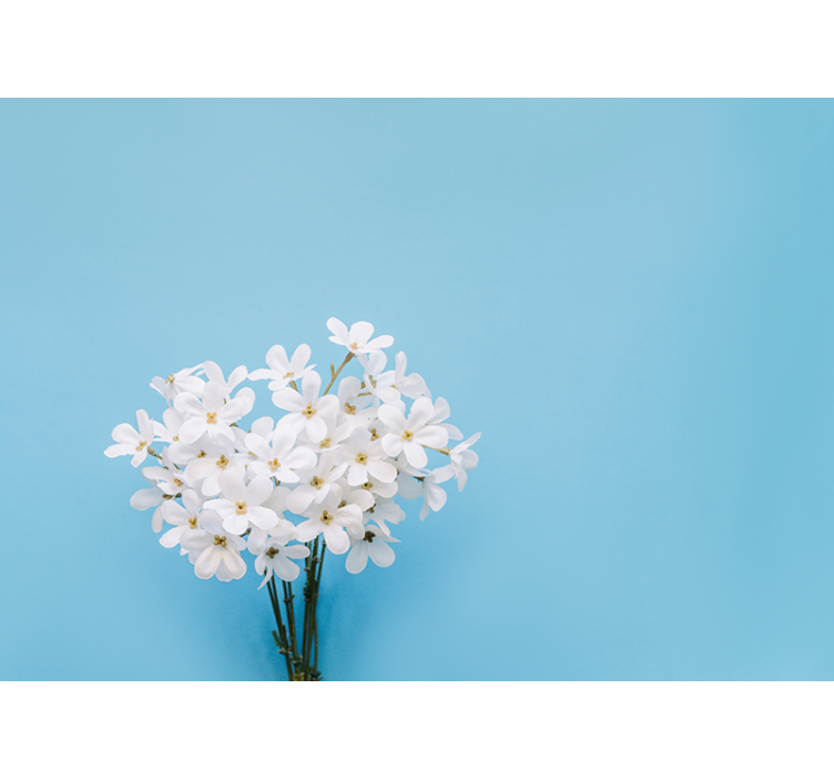 Niebieska roleta w jaśminowym tle - TenStickers