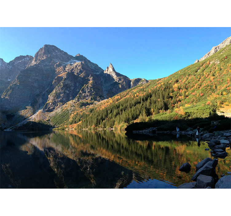 Zielona roleta morskie oko wiosną - TenStickers