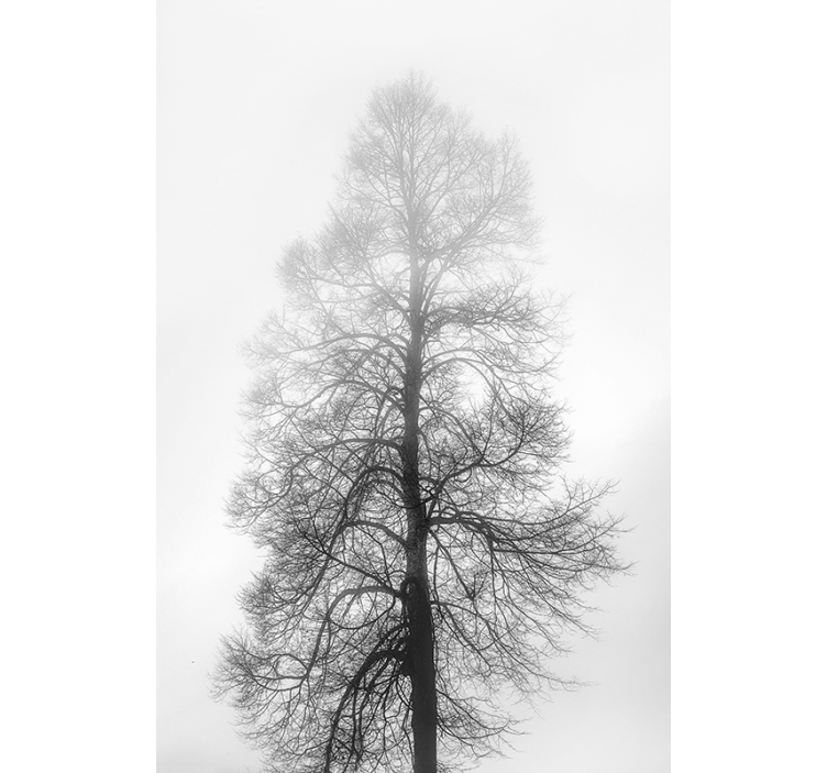 Roleta do salonu w drzewa skala szarości - TenStickers