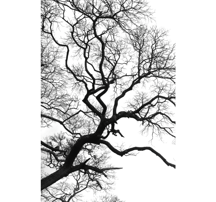 Roleta z rysunkami Pęknięcie pojedynczej gałęzi drewna - TenStickers