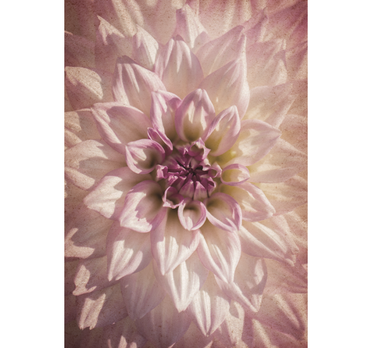 Roleta z kwiatami i roślinami delikatny rozkwit - TenStickers