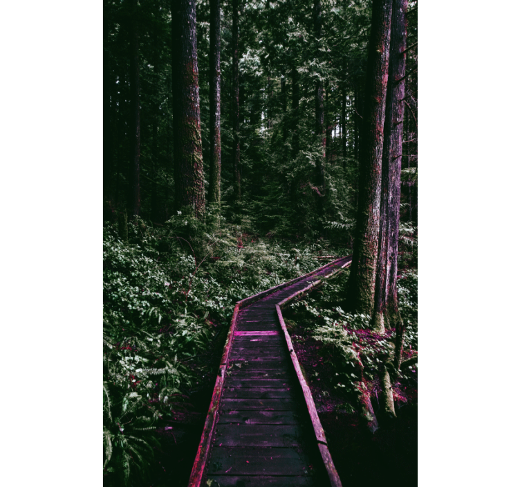 Roleta z drzewami leśna ścieżka - TenStickers