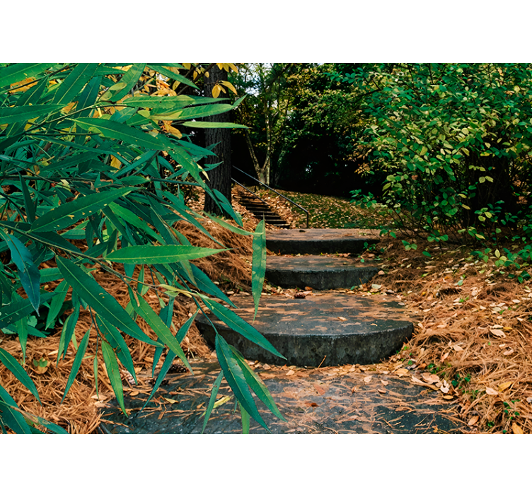 Oryginalna roleta na okno 3d las i mała droga - TenStickers