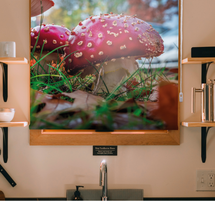 Roleta z kwiatami i roślinami żywe czerwone grzyby - TenStickers