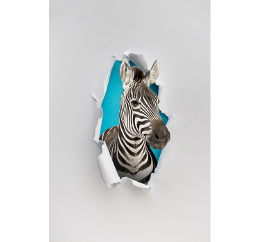 inne rolety w zwierzeta Zebra - TenStickers